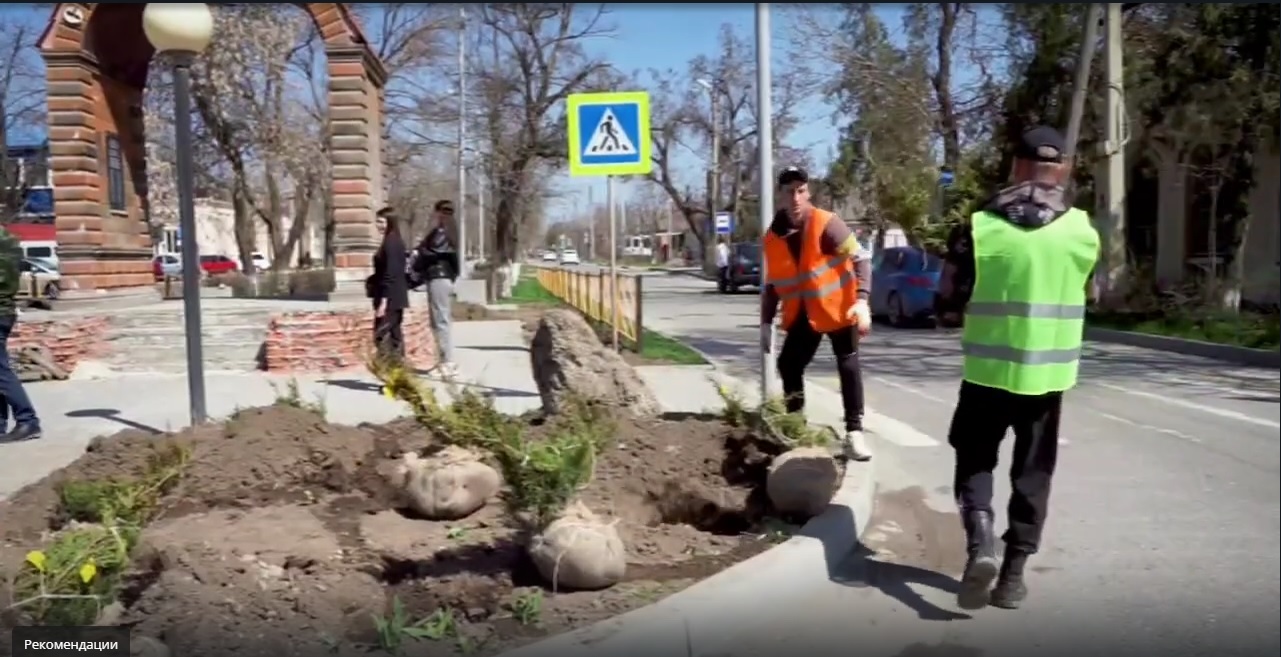 В Буденновске приступили к озеленению общественных пространств.