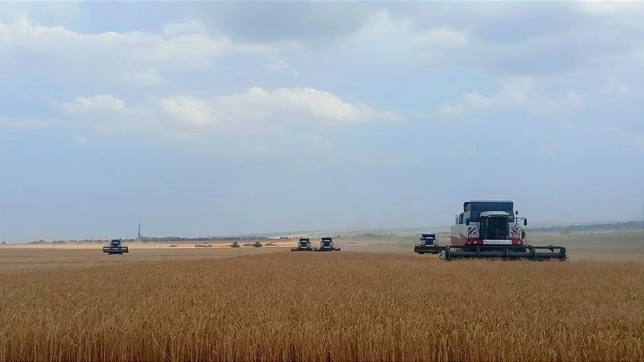 На Прикумье стартовала уборочная кампания.