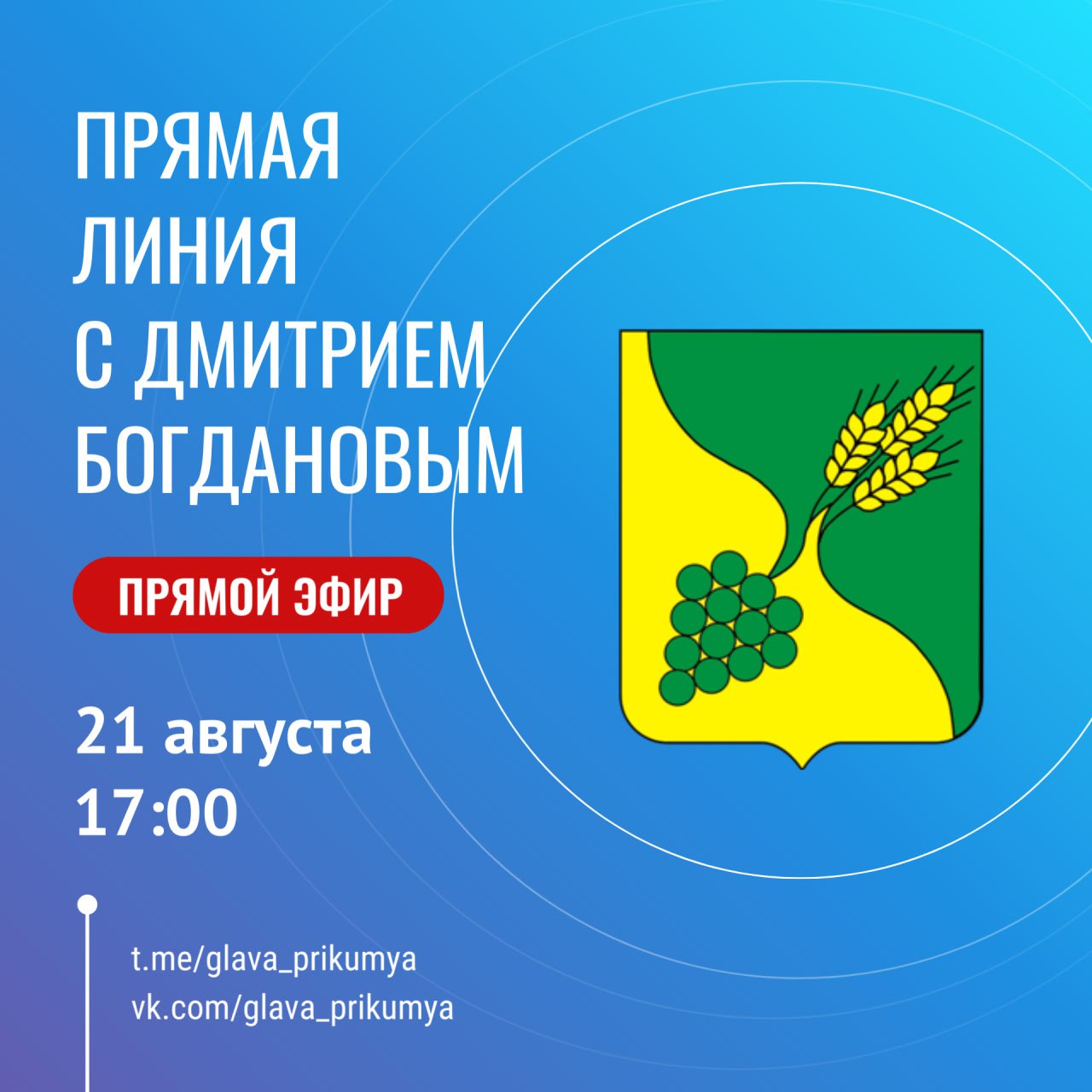 Прямая линия с временно исполняющим полномочия Главы Буденновского округа Дмитрием Богдановым.